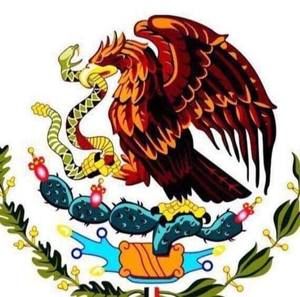 Meet your Posher, Noe